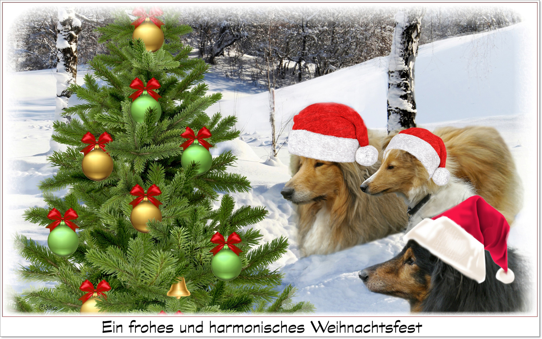 frohe Weihnachten