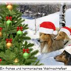 frohe Weihnachten