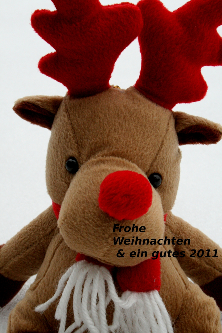 Frohe Weihnachten & ein gutes 2011