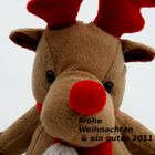 Frohe Weihnachten & ein gutes 2011