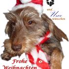 Frohe Weihnachten, einen guten Rutsch und viele tolle Motive in 2015