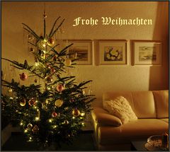 Frohe Weihnachten Euch allen.....