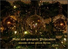 Frohe Weihnachten Euch allen...