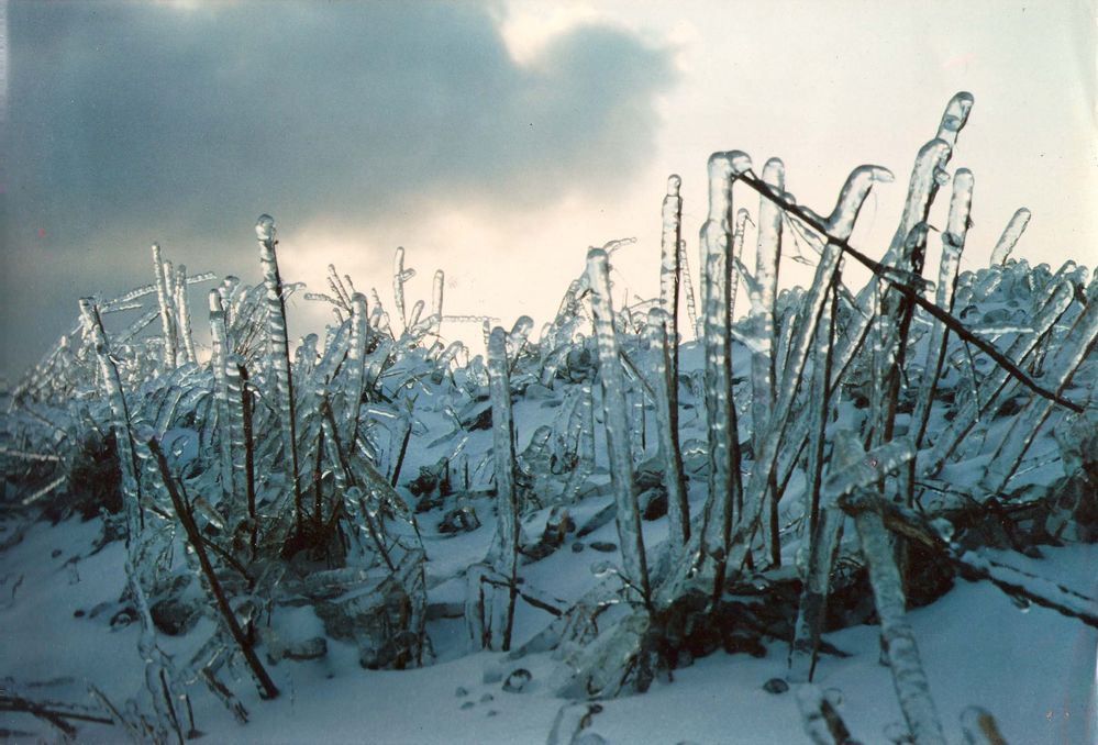 frohe weihnachten euch allen (ein bild von vor 30 jahren,dia )aus nrw