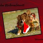 Frohe Weihnachten!!!!