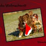 Frohe Weihnachten!!!!