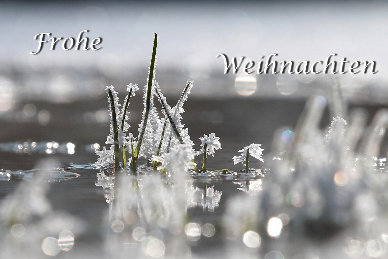 Frohe Weihnachten Foto &amp; Bild | jahreszeiten, winter, verschiedenes