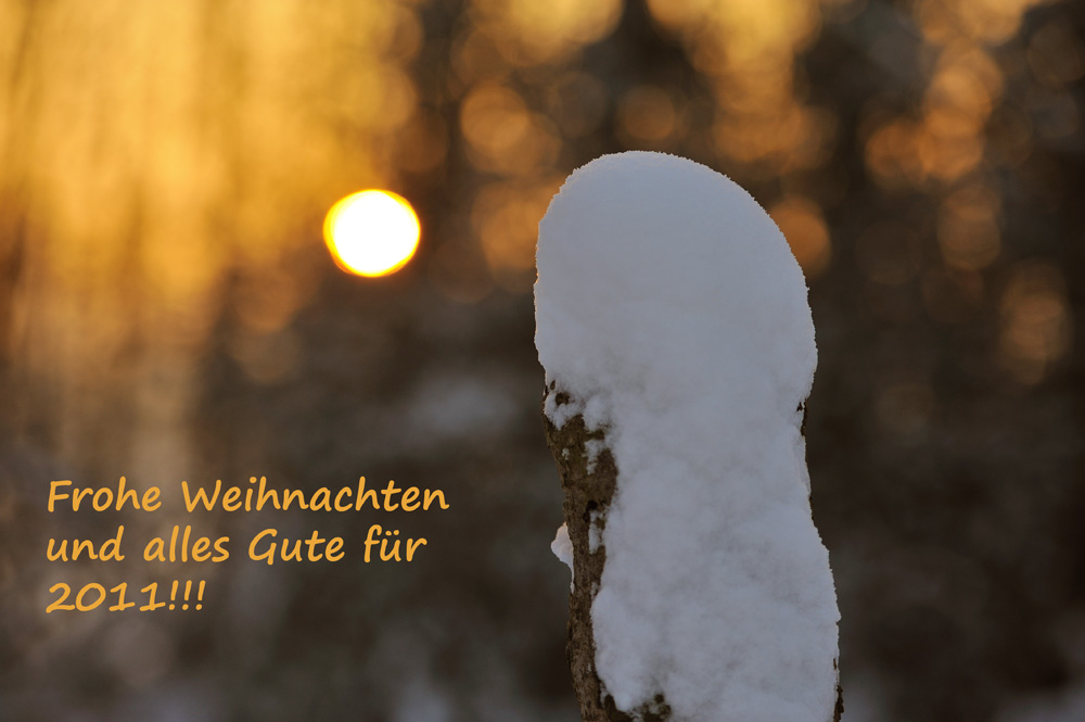 Frohe Weihnachten