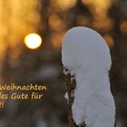 Frohe Weihnachten