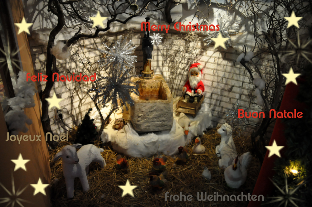 Frohe Weihnachten