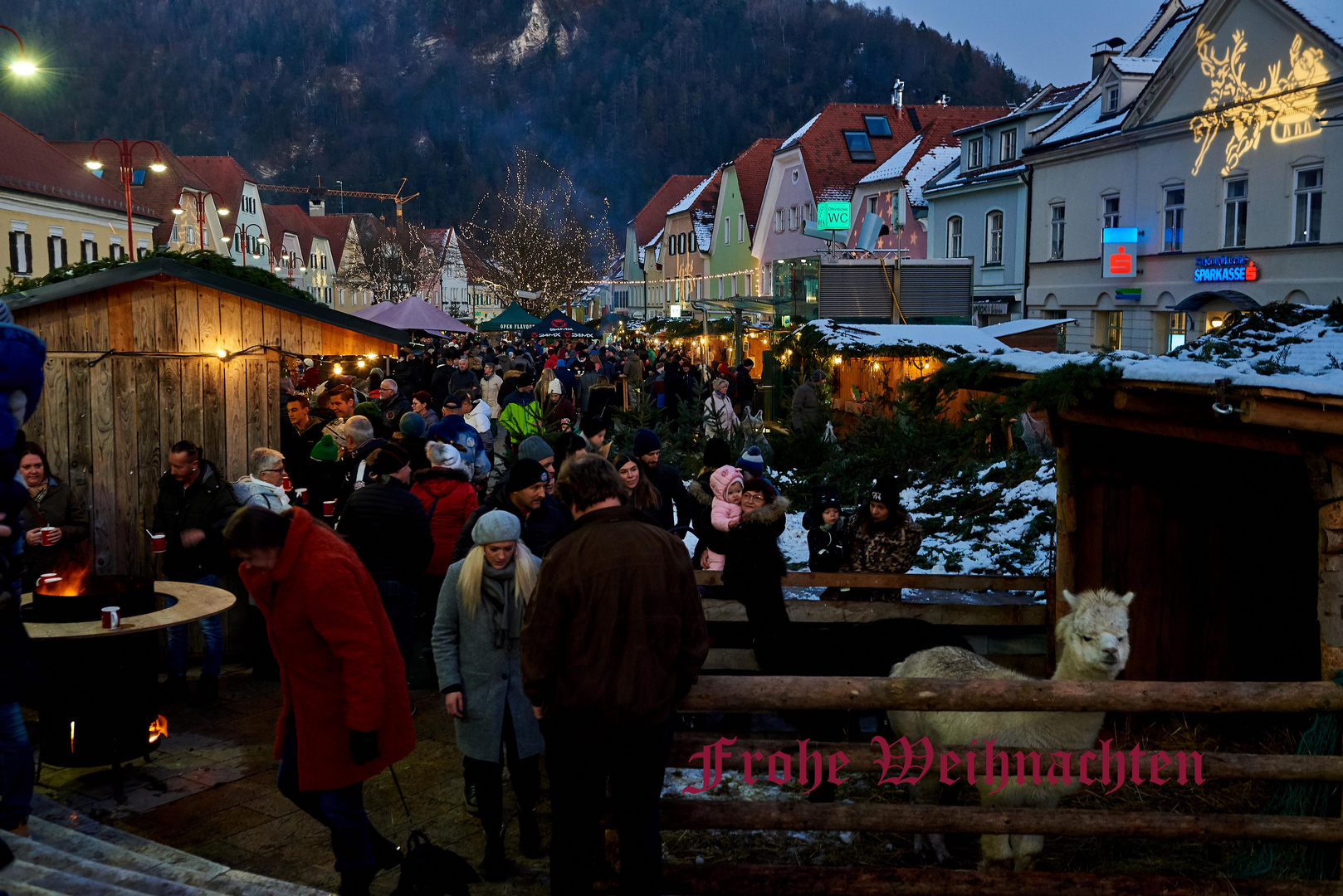 Frohe Weihnachten. Frohleiten im Advent