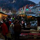 Frohe Weihnachten. Frohleiten im Advent