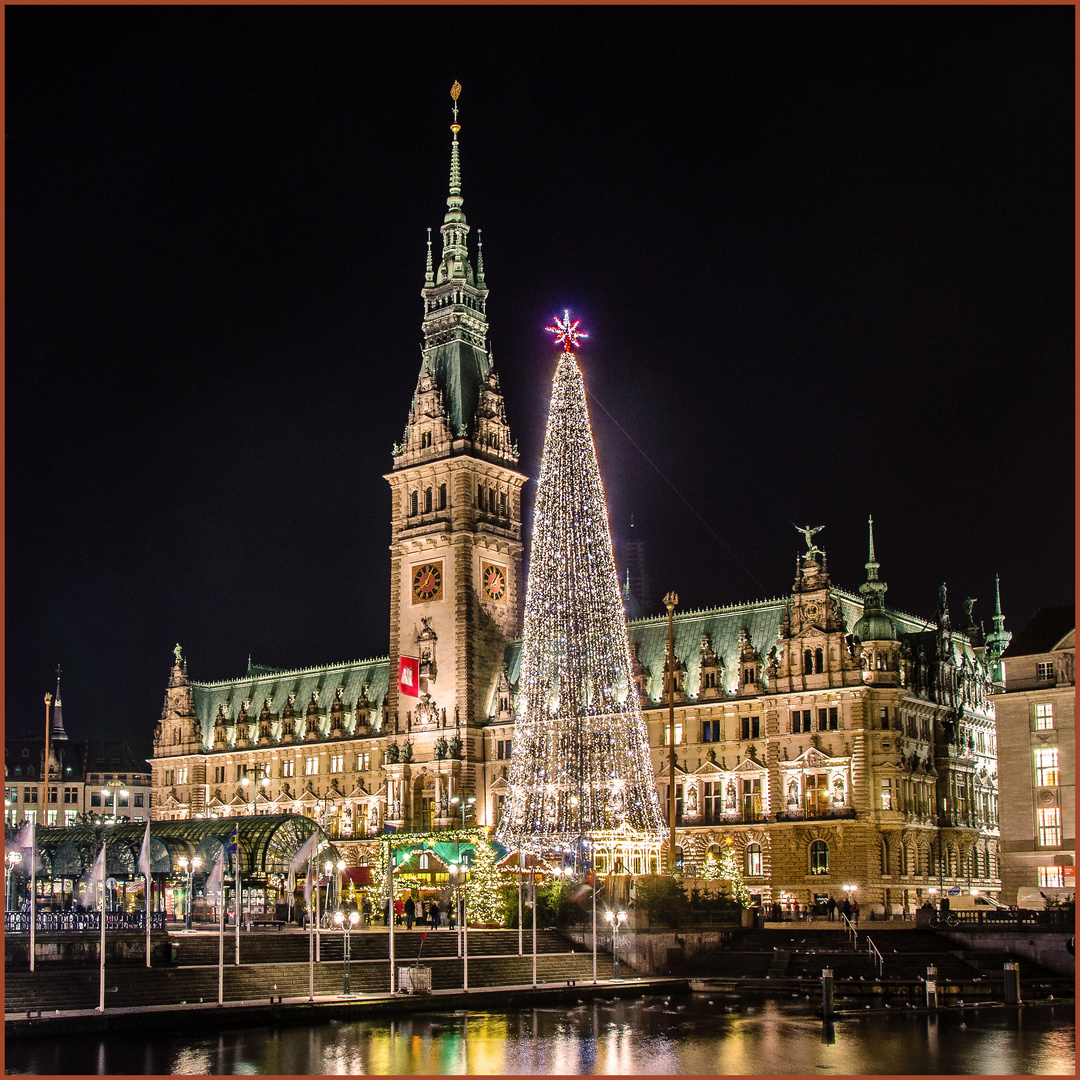Frohe Weihnachten (Hamburger Rathaus) Foto & Bild hamburg