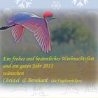 - Frohe Weihnachten - Happy Holiday -