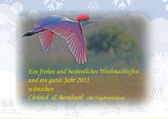 - Frohe Weihnachten - Happy Holiday -