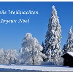 Frohe Weihnachten - Joyeux Noel