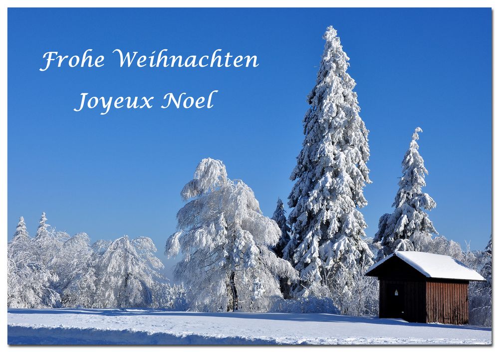 Frohe Weihnachten - Joyeux Noel Foto &amp; Bild | karten und kalender
