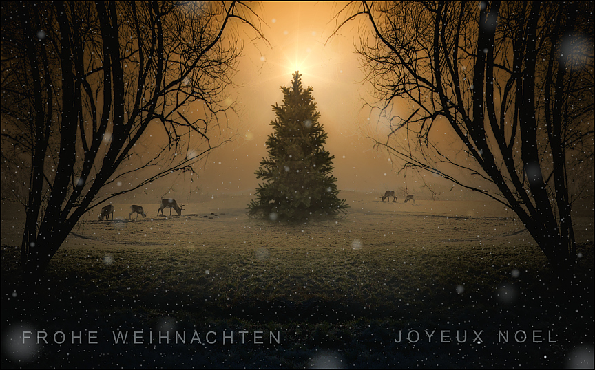 Frohe Weihnachten - Joyeux Noel