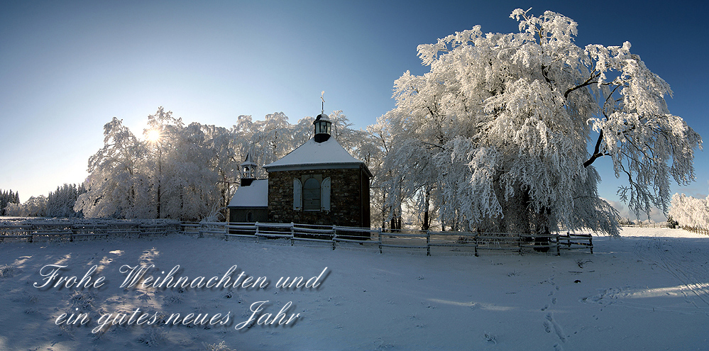 * Frohe Weihnachten! * Merry Christmas! *