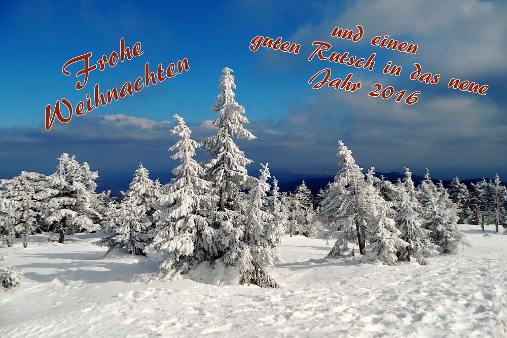 Frohe Weihnachten - Mit weißer Pracht Foto & Bild  gratulation und 