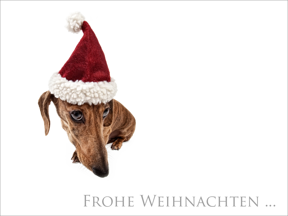 Frohe Weihnachten [Part II]