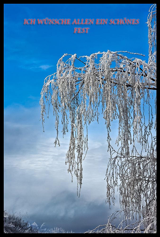 Frohe Weihnachten und ...........