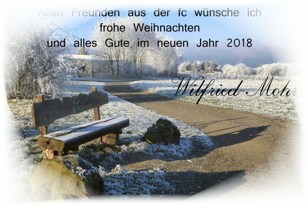 Wünsche Zu Weihnachten Und Zum Neuen Jahr Frohe Weihnachten und alles Gute im neuen Jahr Foto & Bild | natur