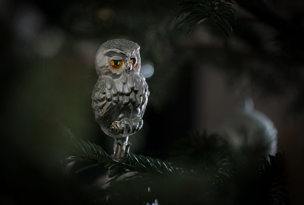 Frohe Weihnachten und ein gesegnetes neues Jahr!