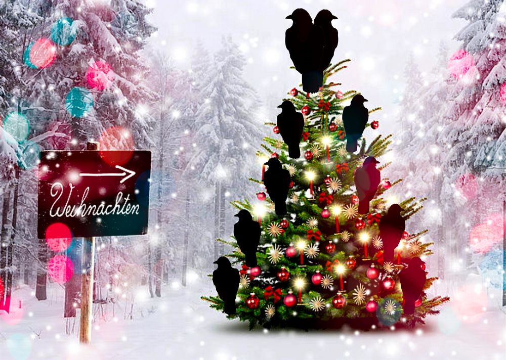 Frohe Weihnachten und ein gesundes, gutes neues Jahr! Foto &amp; Bild