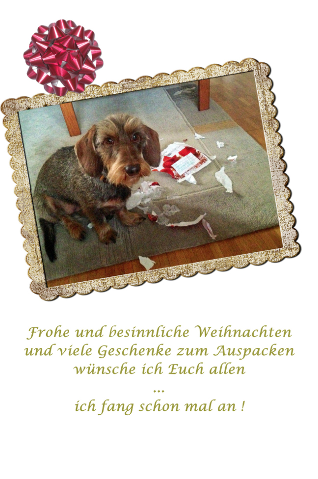 Frohe Weihnachten und ein gesundes Neues Jahr 2013