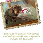 Frohe Weihnachten und ein gesundes Neues Jahr 2013