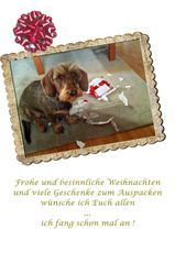 Frohe Weihnachten und ein gesundes Neues Jahr 2013