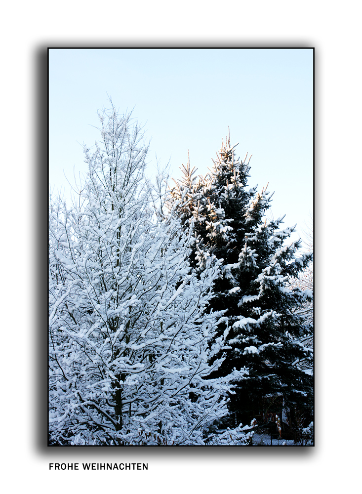 Frohe Weihnachten und ein gesundes Neues Jahr!