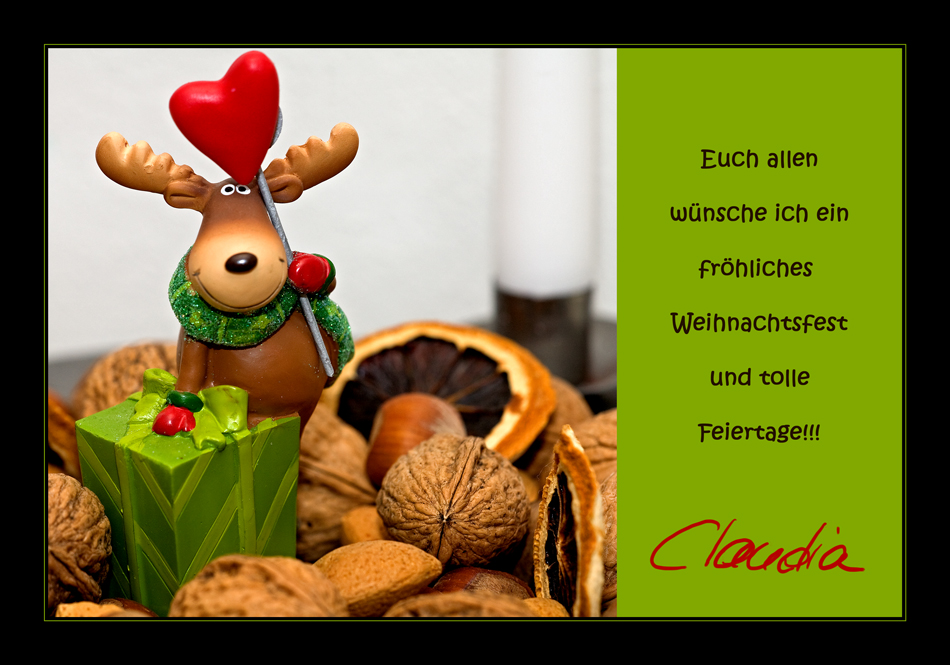 Frohe Weihnachten und ein glückliches neues Jahr!