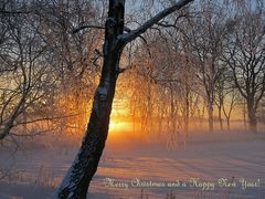 Frohe Weihnachten, und ein gutes Jahr 2016...