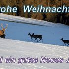 Frohe Weihnachten und ein gutes Neues Jahr für alle FC-User