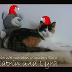 Frohe Weihnachten und ein warmes Plätzchen am Ofen...