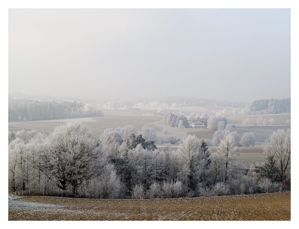 Frohe Weihnachten und einen guten Rutsch