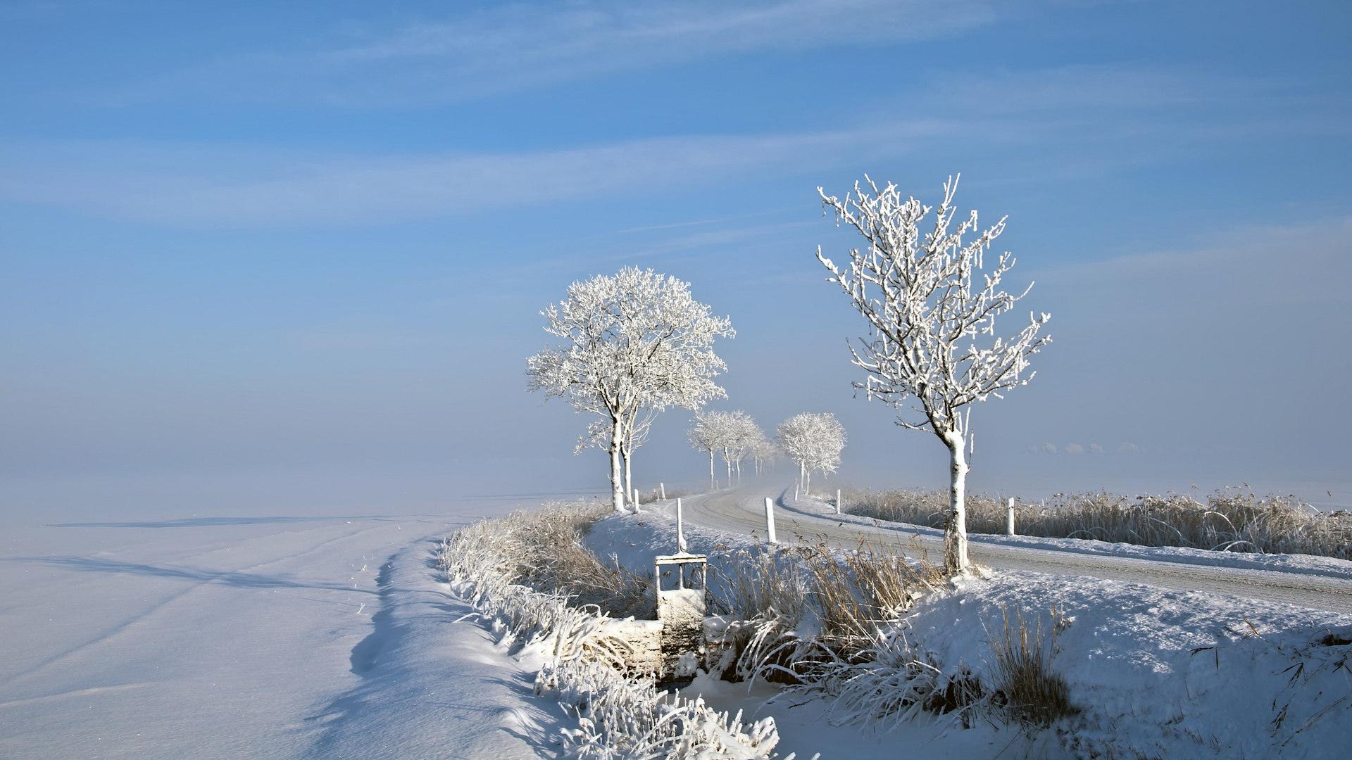 Frohe Weihnachten und einen guten Rutsch