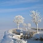 Frohe Weihnachten und einen guten Rutsch