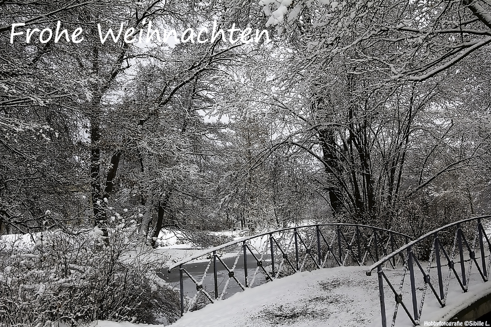 Frohe Weihnachten und einen guten Rutsch ins Jahr 2019