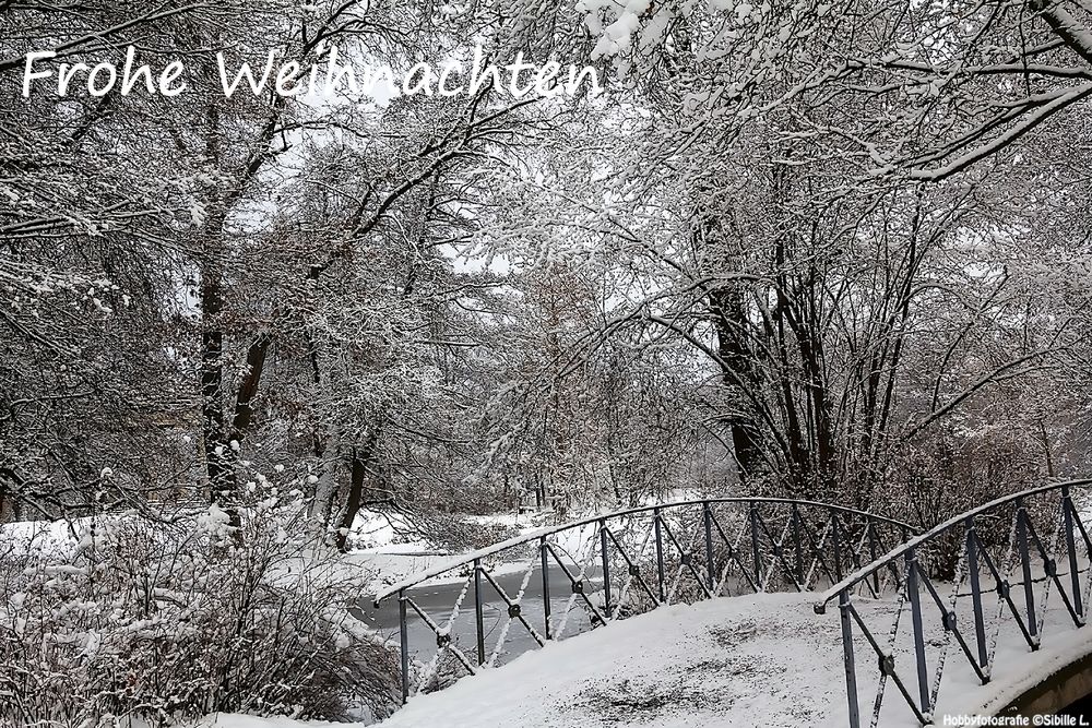 Frohe Weihnachten und einen guten Rutsch ins Jahr 2019