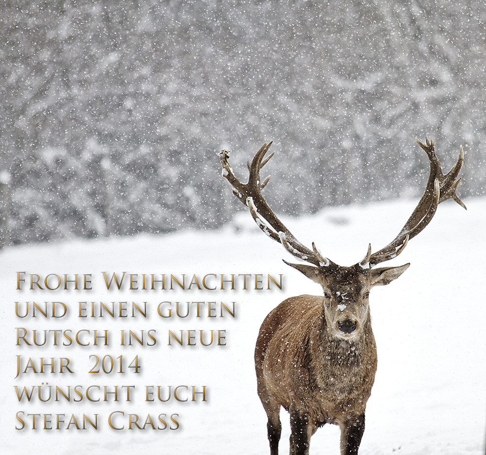 Frohe Weihnachten und einen guten Rutsch ins neue Jahr 2014