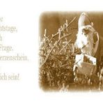 FROHE WEIHNACHTEN UND EINEN GUTEN START INS JAHR 2008....