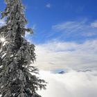 Frohe Weihnachten und geruhsame Feiertage