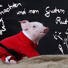 Frohe Weihnachten und nen Guten Rutsch