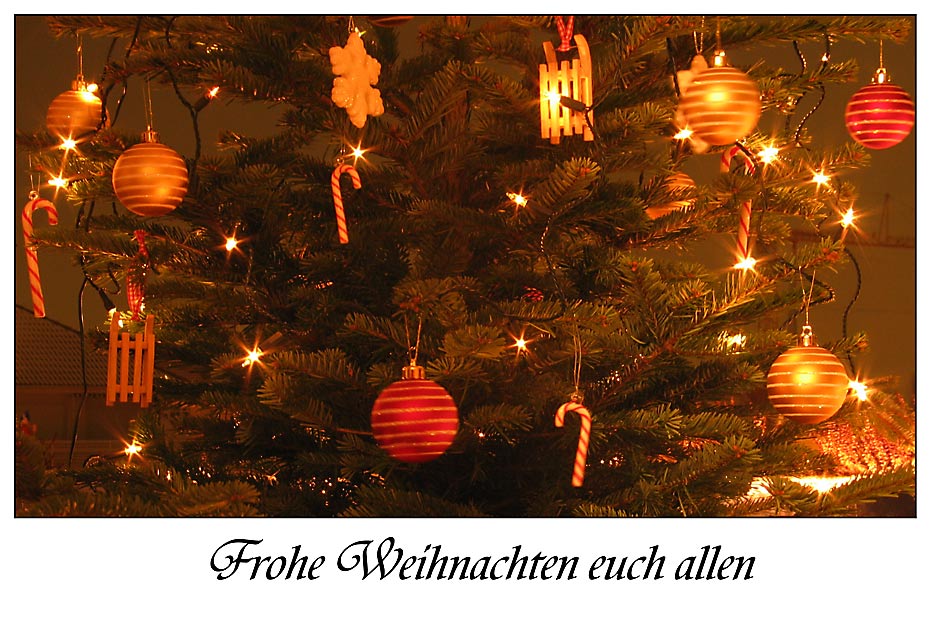 Frohe Weihnachtsfeiertage von Nicole Sunshine