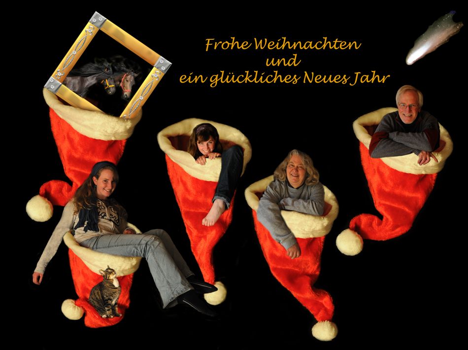 Frohe Weihnachtstage!