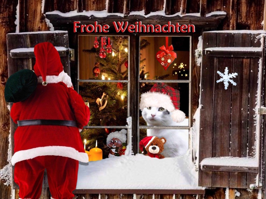 Frohes Fest