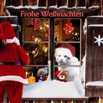 Frohes Fest